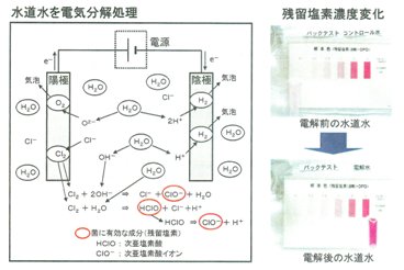 Tv摜